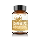 HPD Rx Premium Organic Cordyceps Pilzextrakt Performance Supplement für Energie, Ausdauer und Immunität | 2250 mg, 120 Kapseln, Packung von 1