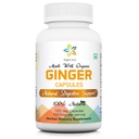 Bio Aura Ginger Kapseln - 120 Veg Kapseln. 2 Monat Versorgung. Natürlich erhöht Verdauung, Relief Stomach Upset und verbessert Immunität. Keine GMO und Gluten frei.
