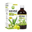 Aloe Amla Mix Juice | Blend of Aloe Vera & Amla Fruit | First Press Virgin Juice | Plant-Based Daily Drink | Vegan & Non-GMO | 32.46 Fl Oz (960ml)