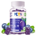 Tiere Reinste Glucosamin Chondroitin Gummis mit MSM & Elderberry Extra Strength - Joint Support, Antioxidant Immun Support Supplement für Erwachsene, Männer & Frauen.60 Blueberry Gummies