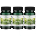 Swanson Black Ginger Extract - Fördert gesunde Blutzirkulation und körperliche Kraft - Kann helfen Herzgesundheit, Muskelgewebe und Mental Wohlbefinden - (30 Veggie Kapseln, 100mg Jeder) (3 Pack)