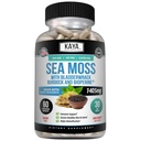 Kaya Naturals Sea Moss - Mobility Supplement für Männer und Frauen - mit Burdock Root, Irish Moss, Bladderwrack und BioPerine - für Mobilität Gesundheit und Immune Boost, 60 Count