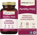Fertilität PQQ-Prenatal Nahrungsergänzungsmittel-Unterstützungen Pränatale Gesundheit,Pregnancy Wellness-60 Kapseln