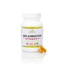 Gesundheit als es Ought zu sein Syn3rgy Supplement | Physician Formulierte Kapseln mit Turmeric, Pine Bark, Ginger Root | 60 Kapseln