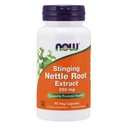 JETZT Nettle Root Extract 250mg, 90 Veg Kapseln