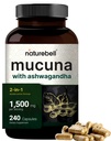 Mucuna Pruriens Kapseln, Triple Strength 1500mg Per Serving, 2 in 1 Formel, Hergestellt mit Mucuna und Ashwagandha, 240 Kapseln, Potent Seed Extract, Positive Stimmung, Relaxation & Restoration Support