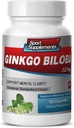 Gehirn-Ergänzungen für Gedächtnis und Fokus - Ginkgo BILOBA 120MG - Gingko biloba Pflanze, Fokus-Ergänzungen für Erwachsene, Gingko biloba Ergänzungen, Ginko biloba Pillen Natürlich, Memory Supplement - 1B 60 Caps