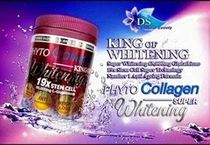 Phyto Collagen Whitening 19X STEM CELL Anti-Aging Pro Whitening Ergebnisse Energie