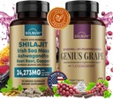 Kognitive Wellness Bundle - Resveratrol Complex & Shilajit Fulvic Acid Minerals - Sea Moss, Ashwagandha, Klinisch getestet Cognigrape Red Grape Extract - Non-GMO, Glutenfrei, Vegan Supplement