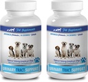 Hundeblase Inkontinenz Kaubare - DOG URINARY TRACT SUPPORT - NATURAL CRANBERRY SOLUTION - BLADDER HEALTH - VET RECOMMENDED - Hund Cranberry Extrakt - 2 Flasche (180 Bäume)