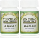 Plum Flower Yin Chiao Chieh Tu Extract, 100 Tabletten (2-Pack)