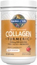 Garten des Lebens Multi-Sourced Collagen Peptide + Turmeric Powder - Apple Cinnamon, 20 Servierungen, für Frauen Männer Gelenke Mobilität, Hydrolysed Collagen Protein Powder Supplements