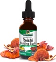 Natur Antwort Alkoholfreie Reishi Extrakt Fruchtkörper, 1-Fluid Unze Flüssigextrakt Immunsystem Builder