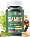 Sea Moss 12000mg Schwarz Seed Öl 6000mg Ashwagandha 3000mg Turmeric 1000mg Bladderwrack 2000mg Burdock 3000mg & Vitamin C & D3 mit Elderberry Manuka Dandelion Gelb Dock Iodine Chlorophyll ACV