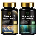 Shilajit für Männer, Sea Moss und Shilajit Bundle, Alle in 1 Ergänzungen mit Coenzym Q10, Black Seed, Ashwagandha, Taurine, Burdock for Energy, Endurance, Antioxidant & Immune Support, 240 Kapseln