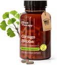 Pflanzentherapie Ginkgo Biloba Capsules Hergestellt in USA 4 Monat Versorgung unterstützt Gedächtnis kognitive Funktion, Gesunde Zirkulation und Antioxidant-Rich Ergänzungen für Frauen & Men 120 Vegetarische Kapsel
