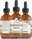 RawGuru Organic Mushroom Complex Tincture - Bio Pilzextrakt mit Trace Minerals - Nano-Processed Cognitive & Immun Support Supplement - 60 Portionen von Vegan Tropfen pro 60 ml, Packung 1