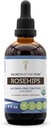 Secrets of the Tribe Rosehips USDA Organic | Alkoholfreier Extrakt, hochkarätige Kräutertropfen | Hergestellt aus 100% zertifiziertem Bio-Rosaspp.