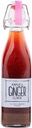 Annie's Ginger Elixir, 17oz 1-Pack, Pure Natural Organic Tonic Ginger Shot, Digestive Cleanse verstärkt Immunabwehr, Täglich Gut Gesundheit und Wellness, Non-GMO Getränke