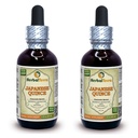 Chinesischer Quince (Chaenomeles Speciosa) Tinktur, Getrocknete Früchte Flüssiger Extrakt (Markenname: HerbalTerra, Proudly Made in USA) 2x2 fl.oz (2x60 ml)