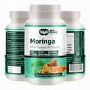 Moringa Tabletten mit Turmeric und Ginger, 300 Pillen, 5 Monate Lieferung, 150 Servieren, 1000 Mg pro Servieren. Eine Kapsel mit mehreren Vorteilen - unterstützt Verdauungsgesundheit(Pack von 1)