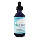 Nutra Biogenesis Methyl Factors - Vitamin B12 Tropfen, Methylfolate Tropfen, Sublingual Liquid für Damen und Herren, B Komplex mit Folsäure für Kinder & Erwachsene, Energieergänzung, Zuckerfrei - 2 Fl Oz