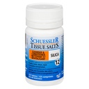 Silica-100 onglets Marque: Schuessler Sels de tissu