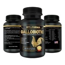 Gallobiotische natürliche Multivitamin für Hahn, Hens - 100 Tabletten | Vitamina Completas para Gallos