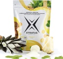 Ananas et menthe - Supplément d'entraînement intra avec des glucides et des électrolytes. Mélange de boisson de carburant super. 1:0,8 (Glucose:Fructose). Véritable fruit, végétalien - 35,27 Oz.