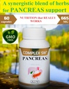 Pancreas Cleanse Detox & Repair Supplement mit allen natürlichen Papain Enzyme, Bromelain, Ananasextrakt, Zink, Chrom, Manganese. Revitalizer & Detox Formel für Gut Health.