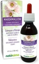 Naturalma Marshmallow (Althaea officinalis) Root Alcohol-Free Tincture - 4 fl oz Flüssiger Extrakt in Tropfen - Kräuterergänzung - Vegan