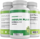 Insulin Pflanzenkapseln (Costus Igneus), 100% Natürliche Ergänzung, 360 Veggie Caps (2 Month Supply) - Insulin Pflanze