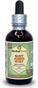 Saint John's Wort (Hypericum Perforatum) Glycerit, Organic Dried Herb Alcohol-Free Liquid Extract 2 oz