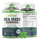 Sea Moss Gummies Senza zucchero, Extra Forza Irish Moss Gel Supplemento con Iodio, Clorofilla, Non filtrato ACV, D3, Burdock Root, Bladderwrack per Immune, Digestivo, Pelle, Capelli, Detaccoglienza️x, Vegan, 2Pack