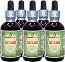 Dulse (Palmaria Palmata) Glycerit, Organic Dried Leaves Alcohol-Free Liquid Extract (Markenname: HerbalTerra, Proudly Made in USA) 5x2 fl.oz (5x60 ml)