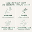Traditionelle Medicinals Lozenges, Organic Throat Coat Lemon Ginger Echinacea, Sore Throat Support, 16 Count (Pack von 2)