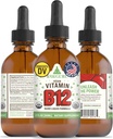 RawGuru Vitamin B12 Liquid Supplement - Organische Veganflüssigkeit B12 mit Trace Minerals - Nano-Processed Antioxidant & Immun Support Supplement Tinktur - 60 Portionen von Vegan Tropfen pro 60 ml, Packung 1