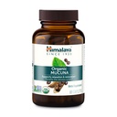 Himalaya Bio Mucuna Pruriens, 60-Tage-Versorgung - Kräuter-Ergänzung zur Berechnung der Entspannung von Spannung und Förderung der Gehirnfunktion - Vegan, Non-GMO, Glutenfrei, 600 mg, 60 Caplets