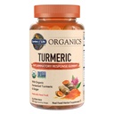 Garten des Lebens Bios Kurkuma Entzündungsreaktions-Gummi - 120 Echte Fruchtgummis für Kinder & Erwachsene, 50Mg Curcumin (95% Curcuminoids), Ohne Zusatz von Zucker, Bio, Non-GMO, Vegan & Gluten kostenlos