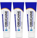 (3 Pack) Globe Dibucaine 1% Trattamento emorroidi Ointment - 1 Oz Rapid Numbing Relief, Trattamento emorroidi da Itch e Burn