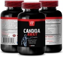 candida cleanse - CANDIDA AWAY - candida cleanse support, candida cleanse for men, candida cleanse Supplement, candida support, candida cleanse support für Frauen, Leberunterstützung 1 Flasche 60 Kapseln