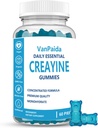 Kreatin Gummi Monohydrat, Kaubare Kreatin Monohydrate, Muskel-Boost, Energie-Boost, Pre-Workout-Ergänzung, Enhanced Bursts, Vegan, Muskel-Wachstumsunterstützung, Erholung & Leistung, Glutenfrei