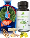 OMNIBREATHE - Fast Improving Breathing Probleme von NAC 600MG Wissenschaftlich geformt w. Quercetin/Mullein/Coq 10/Ginger/Sting Nettle/Bromelain,3 Zeiten w. Meal (10-Day Supply to Boost)