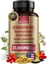 Premium Berberine Ergänzung mit Resveratrol Quercetin Alpha Lipoic Acid - 50:1 Berberine HCl Complex Potent Antioxidants, Polyphenole, Vitalität Boost - 90 Vegan Tabletten, Non-GMO, Glutenfrei