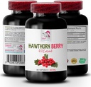 Antioxidans Ergänzung für Frauen - HAWTHORN BERRIES EXTRACT - Hawthorn Extrakt Ergänzung, Beeren Ergänzung, Antioxidans Beeren, Wildbeeren Energie, Hawthorn Energie Pillen für Frau 1 Bot 60 Kapseln