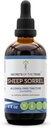 Sheep Sorrel Tincture Alkoholfreie Extrakt, Sheep Sorrel (Rumex Acetosella) Getrocknete Kräuterzusatz 4 oz
