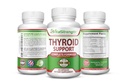 Schilddrüsenunterstützung - Komplette Formel zur Unterstützung von Energieniveaus mit Jod, Bladderwrack, Kelp, B12 & More- Thyroid Energy: Boost T4 to T3 Supplement - Non-GMO