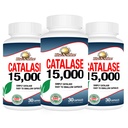 Rise-N-Shine Catalase Supplement 15.000 - Leistungsstarkes Antioxidantes Enzym für die Haargesundheit - Haarergänzungsmittel für starkes Haar - 90 Kapseln - Packung mit 3 Full Size Flaschen (90-Day Supply)