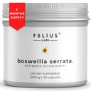 FOLIUS LABS Boswellia Serrata Extract Supplement 500mg - Gesunde Gelenkunterstützung, Muskelentlastung - 65% Boswellic Acids - Aus indischen Olibanum/Frankincense, 120 Caps