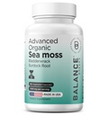 Organic Irish Sea Moss, Bladderwrack & Burdock Root Supplement 1405mg, 60 Veg Capsules - Immune Booster, Gut Health, Skin Detox & Joint Support (60 Count))
